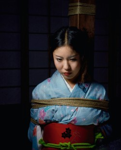 noriemonshige:  Japanese milf bondage kimono 緊縛 熟女 着物