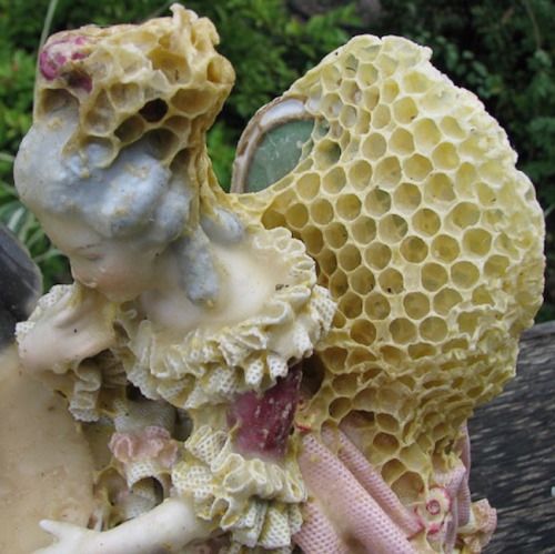 blondebrainpower:Aganetha Dyck Coaxes Bees to Mend Broken CeramicsONTARIO,
