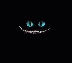 crazyminds-jupyter:  Gato cheshire@