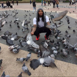 ilovesmeggy666:  methhomework:  waka with a flocka pigeons  one