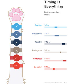 knightofbunnies:  diditmarketing:  Awesome infographic on ideal