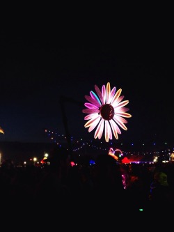 steezytreeez:  EDC was life changing I just want to go back
