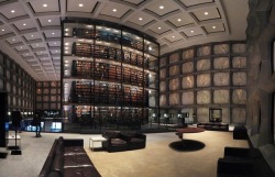 prettystudying:  Beautiful Libraries (Source)