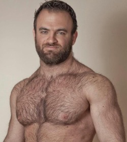duncan66:  hairy brute   Hairy, sexy man with nice pecs - WOOF