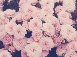 shestartedscreaming:  pink | Tumblr on @weheartit.com - http://whrt.it/UqL2U8