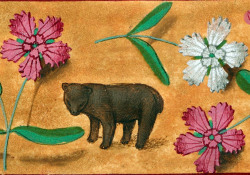 discardingimages:  tiny bear among the flowersHugues de Lannoy,