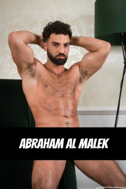 ABRAHAM AL MALEK at RagingStallion  CLICK THIS TEXT to see the