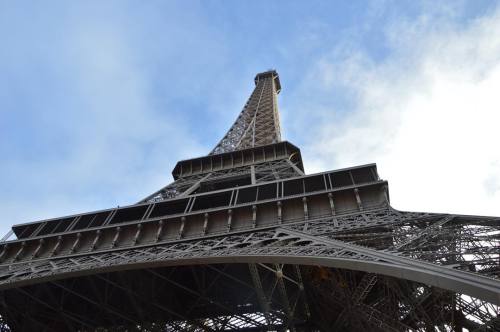 electrifying-eiffel-tower:  How start a wonderful year! 