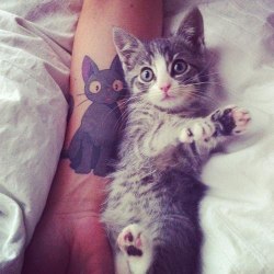 evilkittyky:  tattoome:  - Do you like cats? - No. - You’re