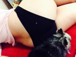 soysweetmilk:  Tryin to take a booty pic but my dog wonâ€™t