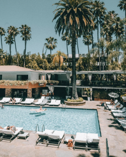 delinquentgentleman:The Hollywood Roosevelt, Los Angeles 