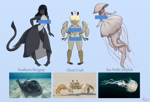 Ocean ladies!See the full resolution AND uncensored version on