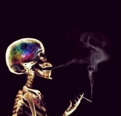 silenced–stoner:  Stoners live and stoners die, in the end we all get high. So if in life you don’t succeed, Fuck this shit and smoke some weed.