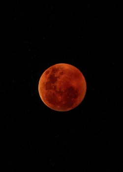 hawxr:  Super Moon Glowing from Forest Fires ~ Melanie Lankford