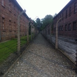 jezus-chytrus:  c0cainkeys:  at Auschwitz Concentration Camp