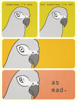 beakfreaks:  silly comic thing based off my lovely moody bird.