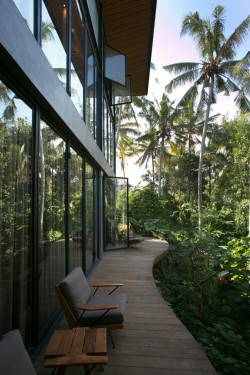 tropicale-moderne:  House 1 by Alexis Dornier // Ubud, Gianyar,