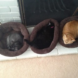 elizagaylor:  #Tb to these lil babies and their bucket beds