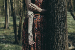 Within me grows a tree, the branches closely hug my veins by