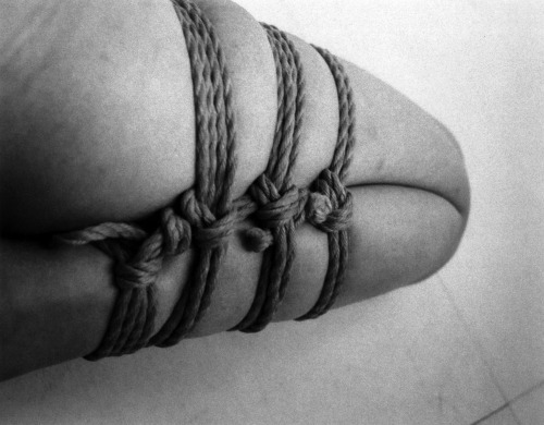 justscreenshots:Shibari & Photo Hajime Kinoko