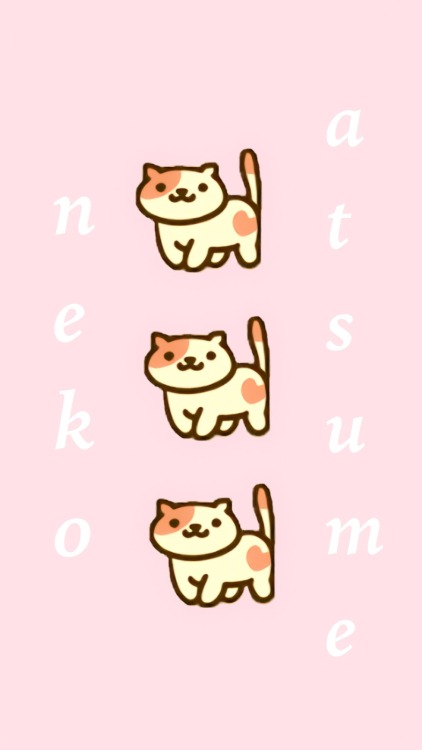 jameswiillems:  â™¡ neko atsume wallpapers â™¡ please like / reblog if you use them 