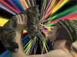 elisamariarose:  Ok… he likes cats.