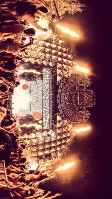 anotherusualpicturecollection:  UMF 2013