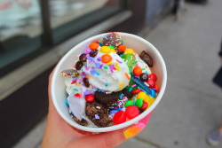 pengu-n:  another froyo pic…i’m a little obsessedinsta: perrytheplatypuus