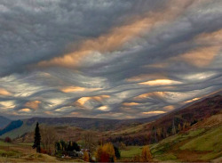sixpenceee:  These undulatus asperatus clouds were spotted over