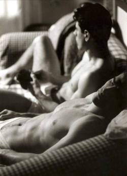 Gaydreamlove