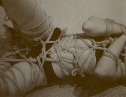 brookelynne: the night my fear faded away  rope: MP | photo: