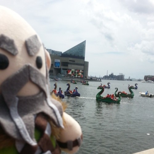 TOO MANY DRAGONS  Still in Baltimore! This makes me wanna cosplay windwaker Link. I don’t wanna go home yet!  Dwalin plush by niteowlworkshop