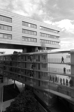 n-architektur:  La Grande Cour (Zuidblok), Amsterdam Meyer en