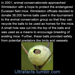 ultrafacts:  maximumbuttitude:ultrafacts:  (Fact Source+more