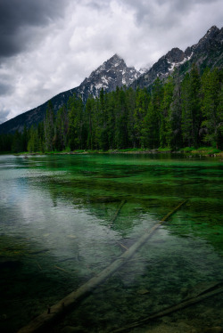 lanatura:  _JAS3745-Leigh-Lake-Emerald (by jbarnesflickr) 