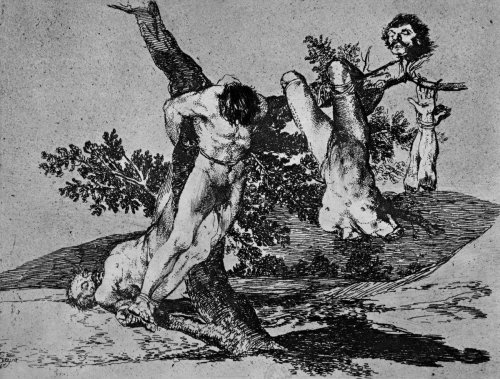 thewindowofthesummerhouse:    Francisco de Goya, Disasters of