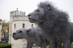 hello-awkwardness:escapekit:Wire Animal Sculptures UK artist