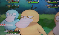 butt-berry:How many times has this Psyduck been KO’d so the