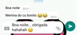 Ironias do Whatsapp