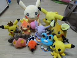 kipam:  My Pokemon doll! ></////♥ 