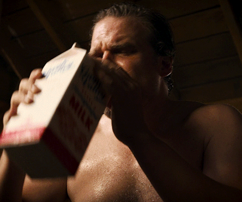 justaholesir:David Harbour as Jim Hopper in Stranger Things (2016–