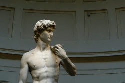 scheme-of-life:  The David Statue Firenze, Italia 
