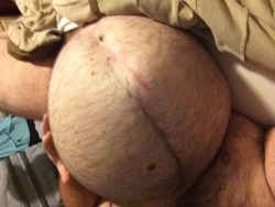 gainerbull:  Stuffed ball belly