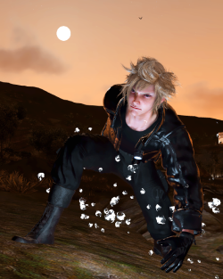 insomnian:    Final Fantasy XV: Windows Edition [11/∞]  