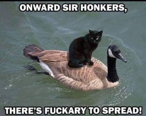 ☠️