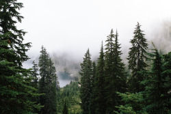 kasieisdell:  One can never have too much of a fogged in lake,