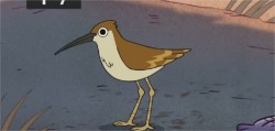 Can we PLEASE talk about this bird. I think it means something.We