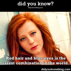 did-you-kno:  11 Facts Everyone Should Know About Redheads {VIDEO}You