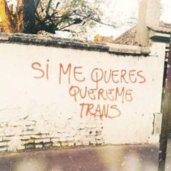 queergraffiti:  “si me queres quereme trans” - roughly, “if