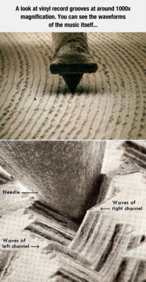 trumpetangst:  lolshtus:  The Waveform Of The Music  this is